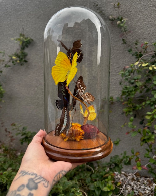 Vintage Butterfly Cloche
