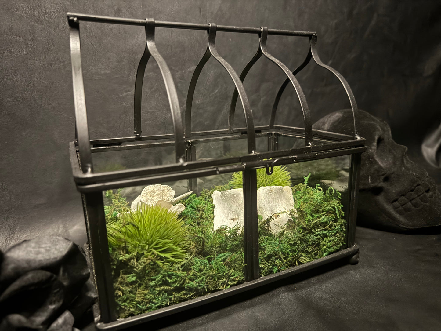 Vertebrae Terrarium