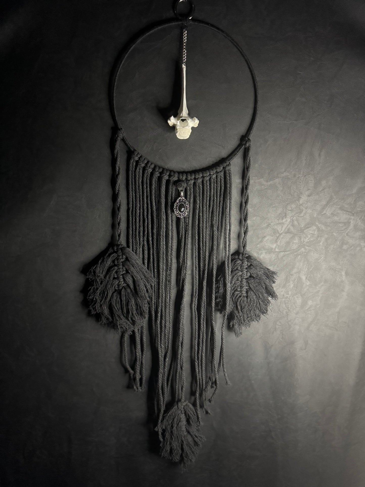 Vertebrae Dreamcatcher