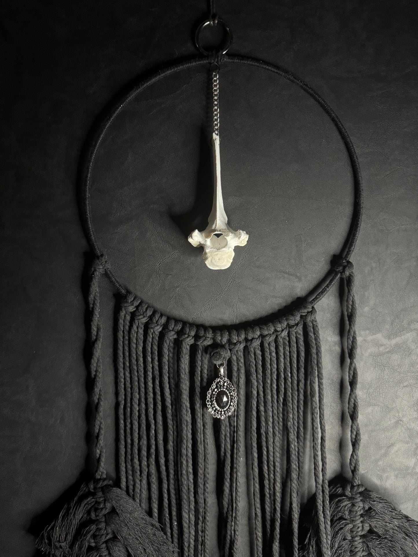 Vertebrae Dreamcatcher
