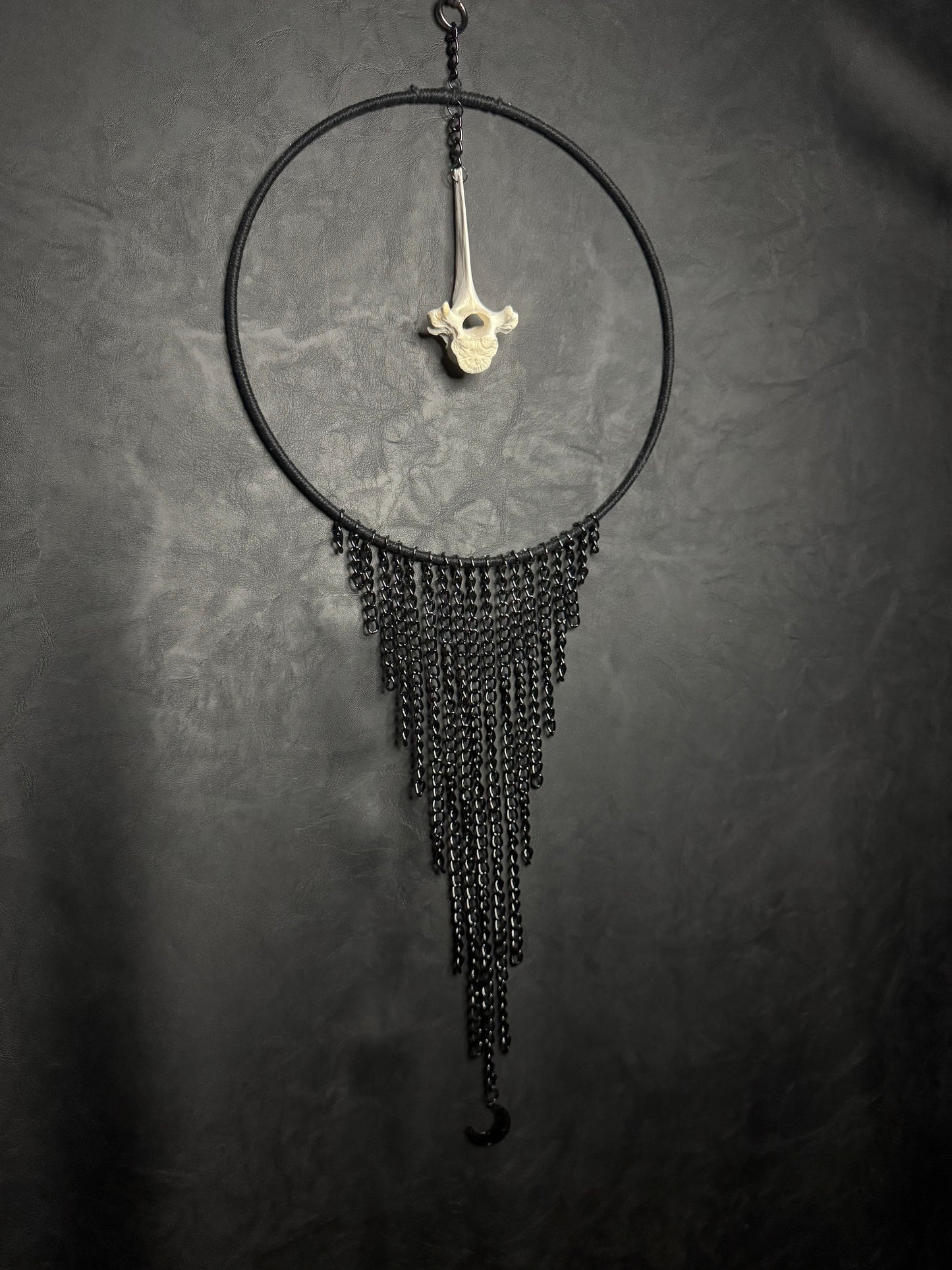 Vertebrae Dreamcatcher