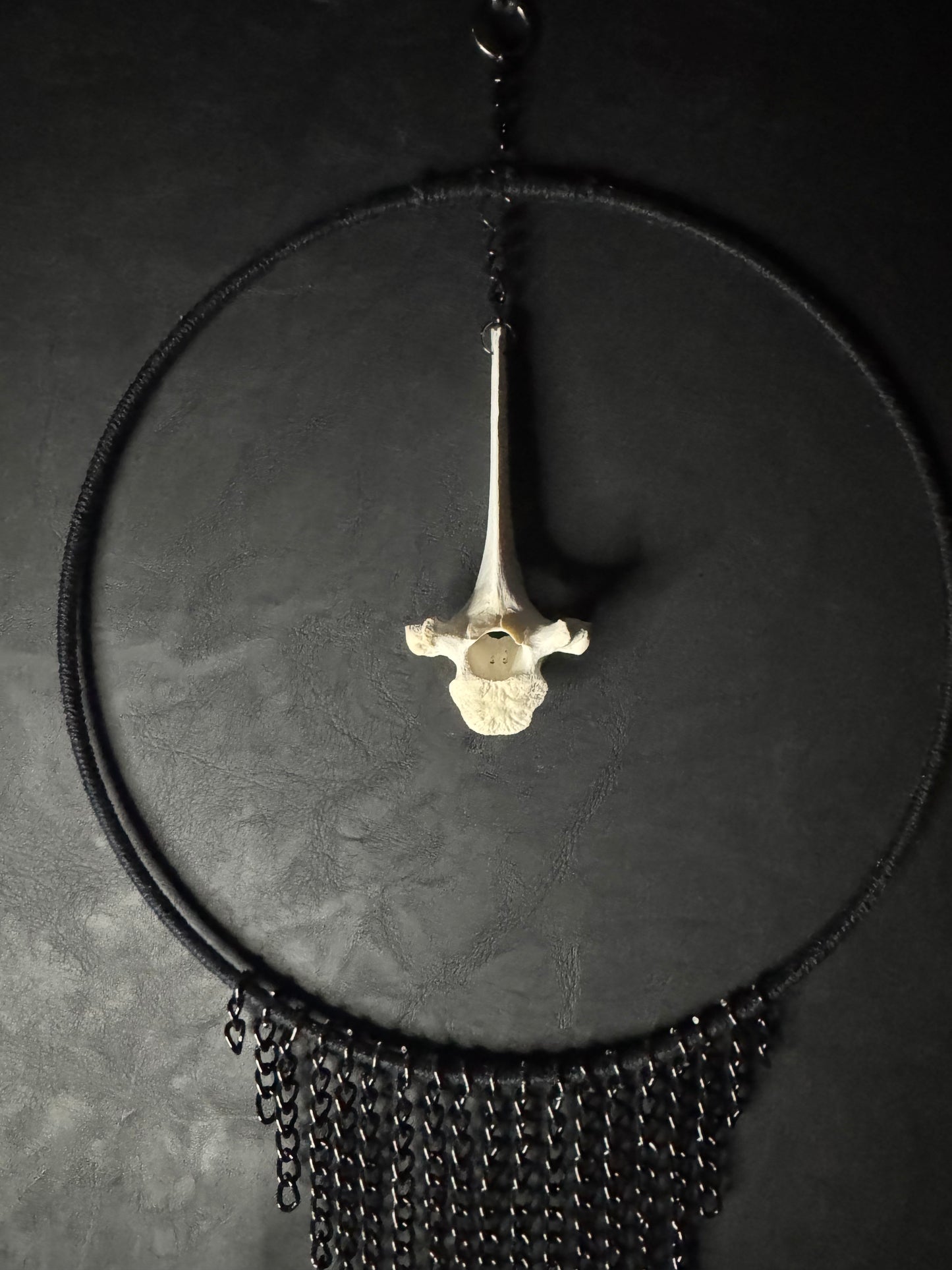 Vertebrae Dreamcatcher