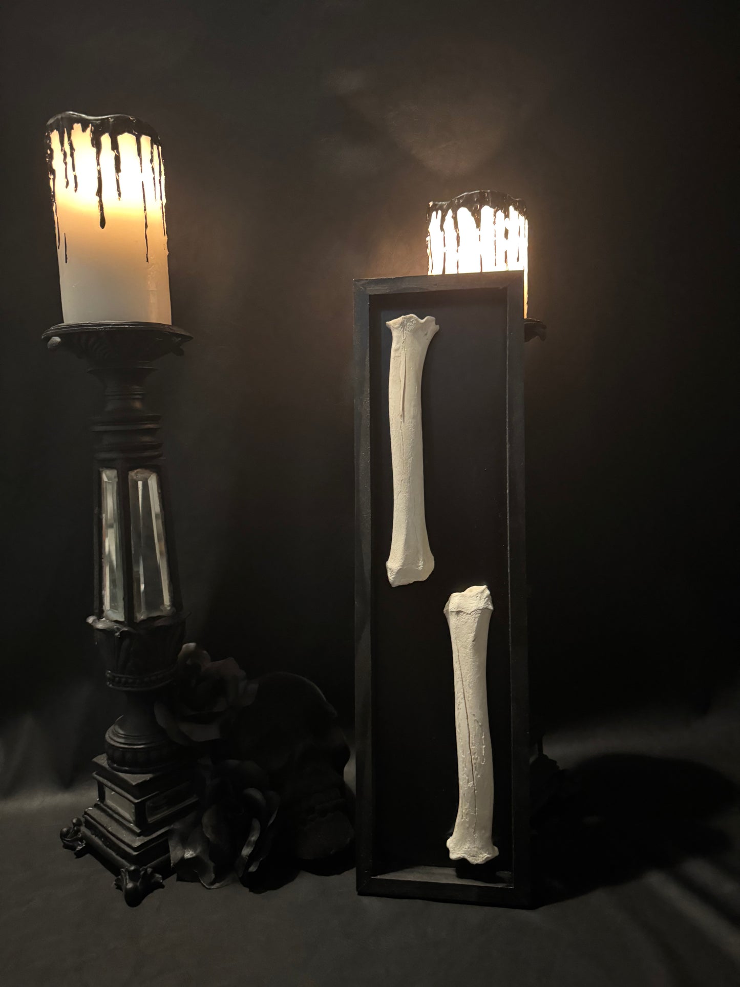 Long Bone Mount