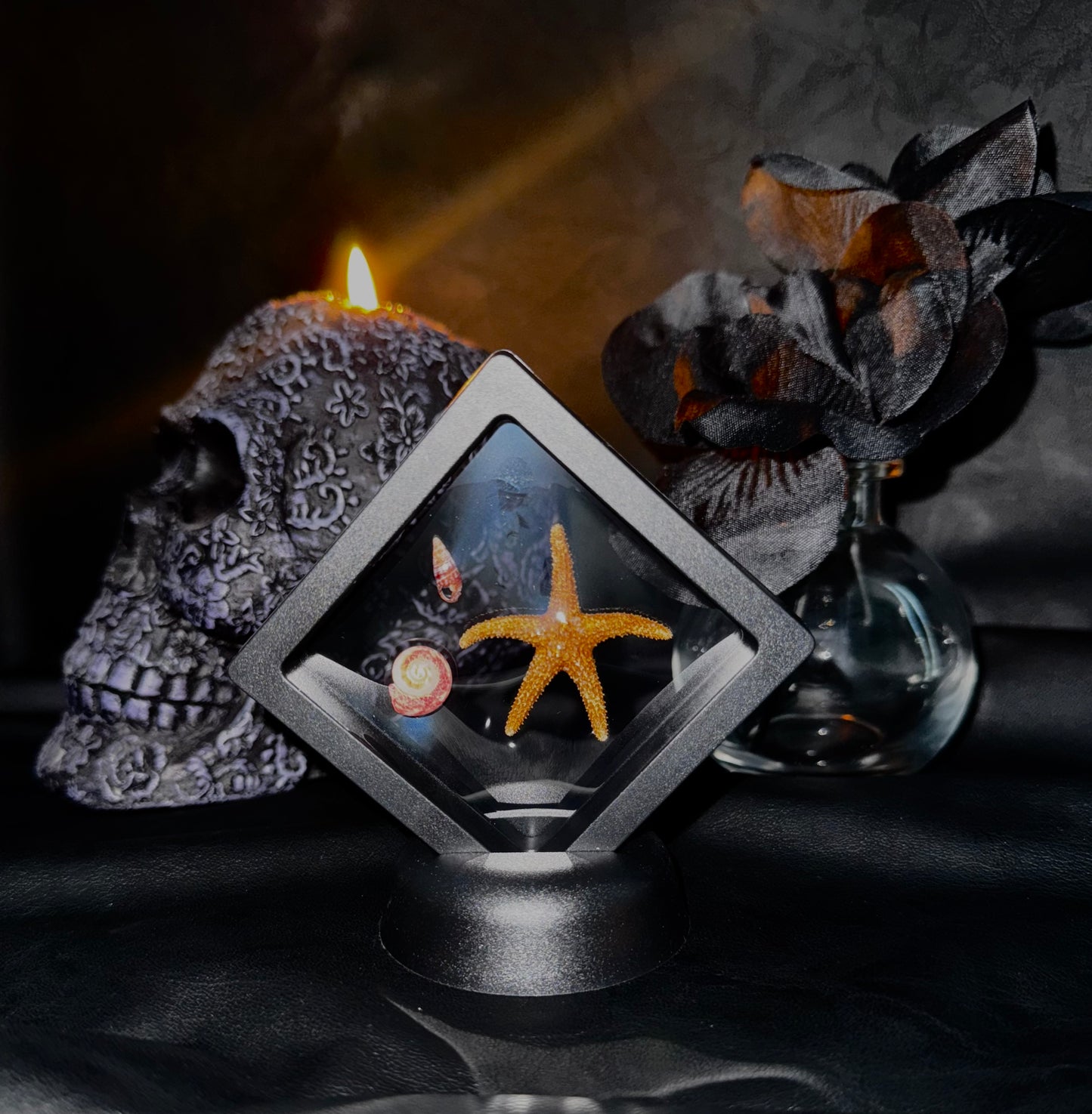 Small Sea Life Floating Frame #1