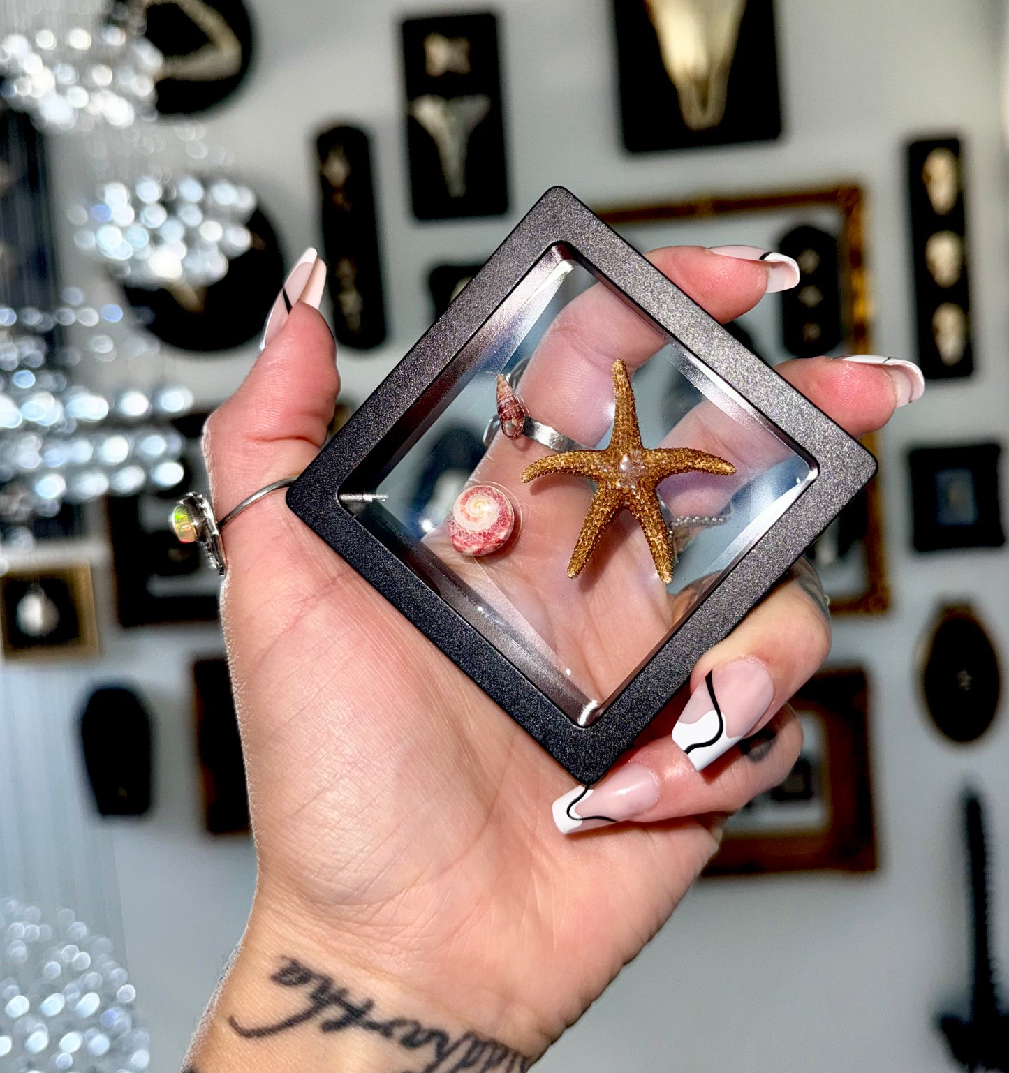Small Sea Life Floating Frame #1