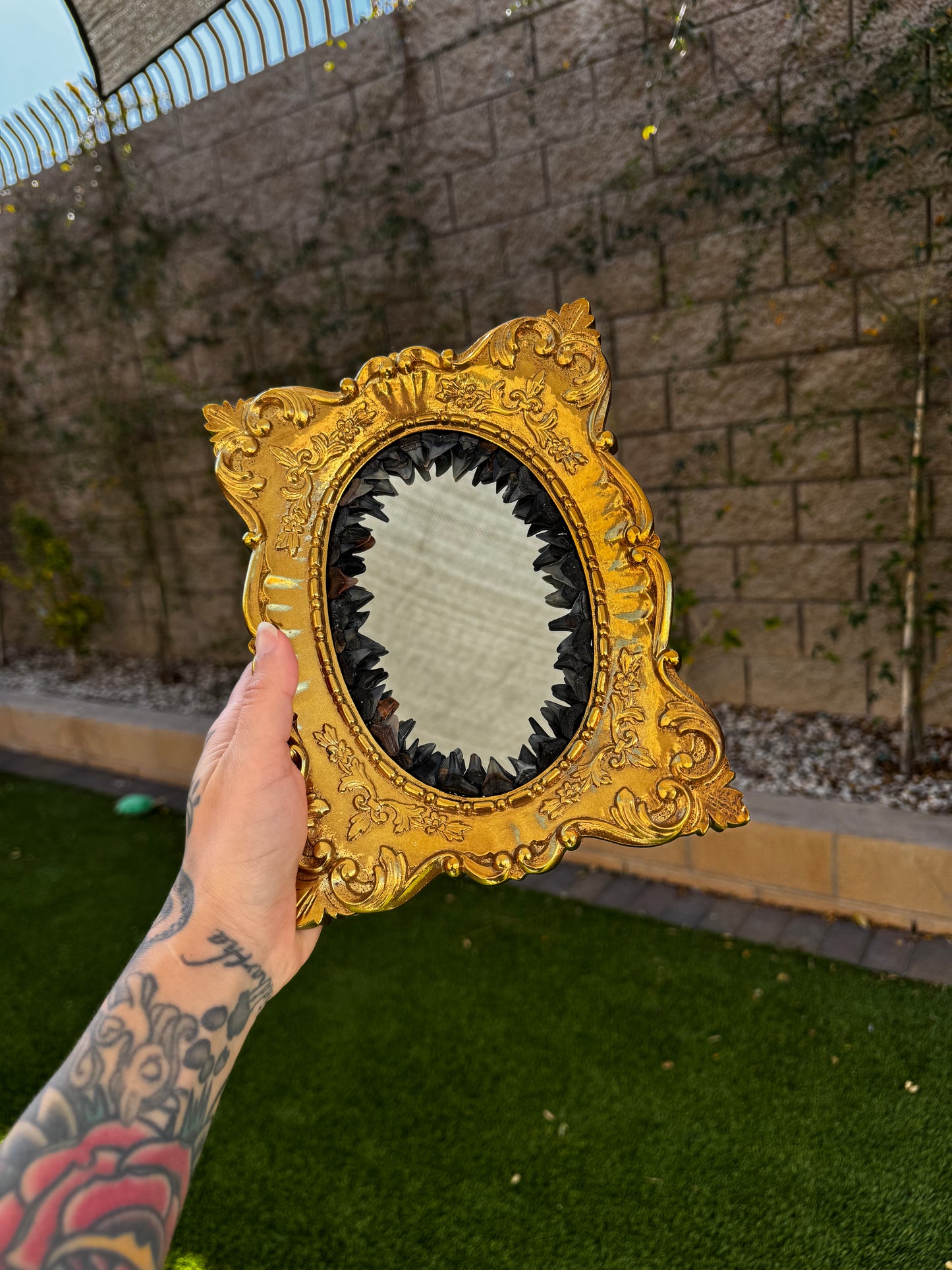 Fossilized Shark Tooth Mirror