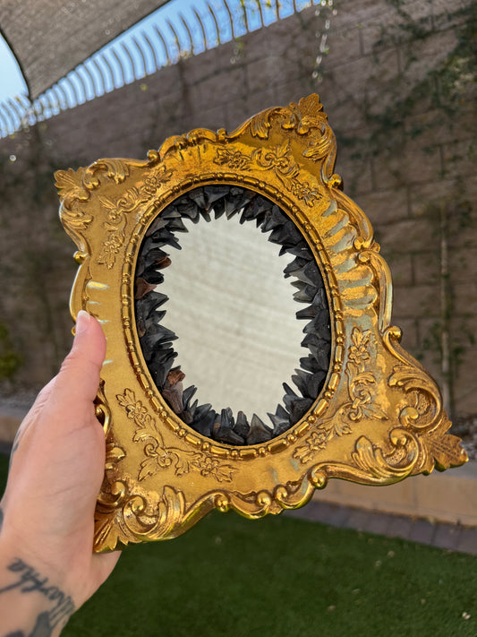Fossilized Shark Tooth Mirror