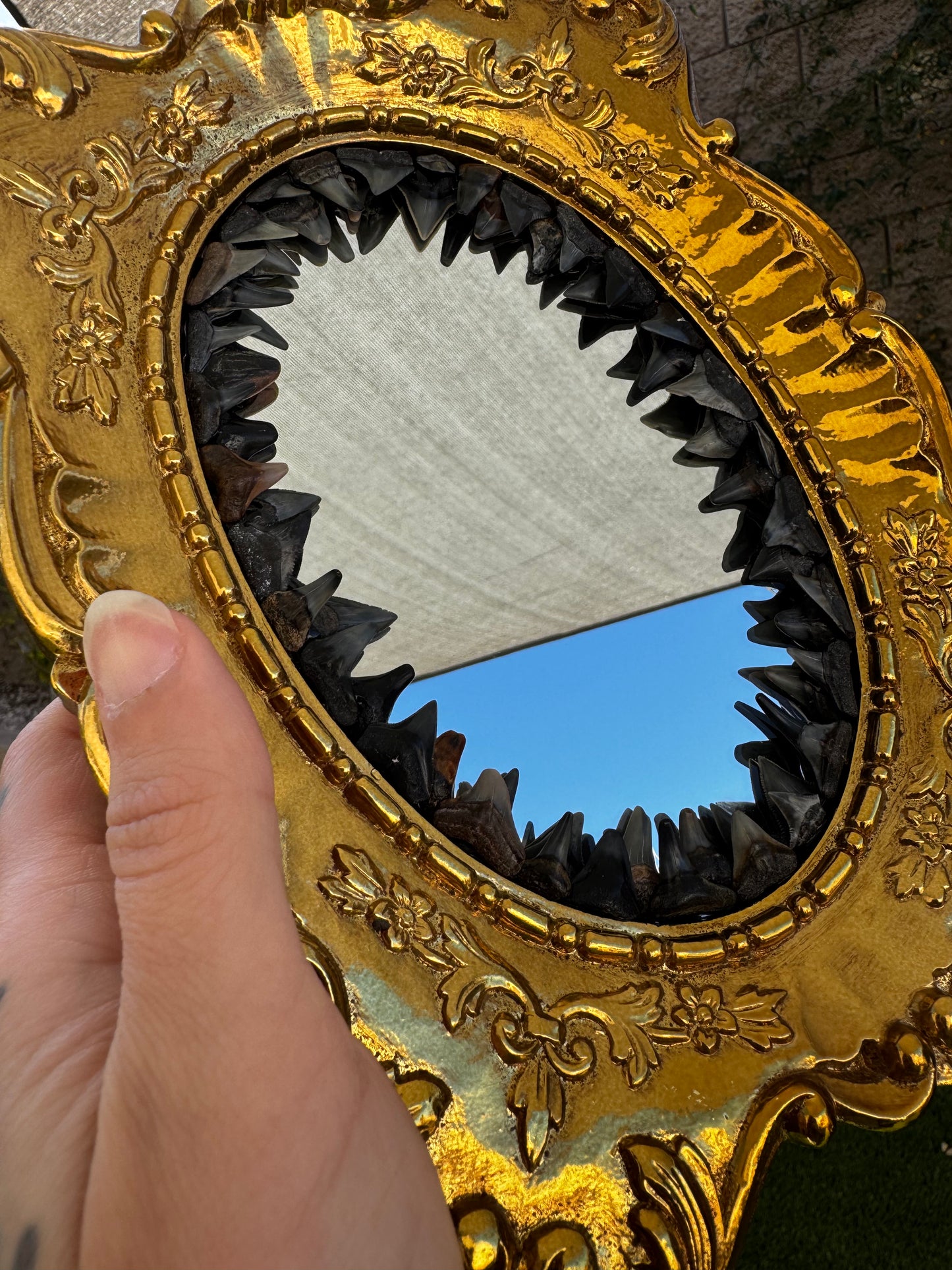 Fossilized Shark Tooth Mirror