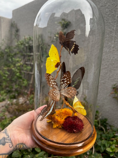 Vintage Butterfly Cloche