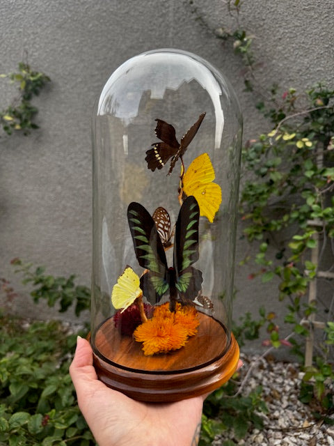 Vintage Butterfly Cloche