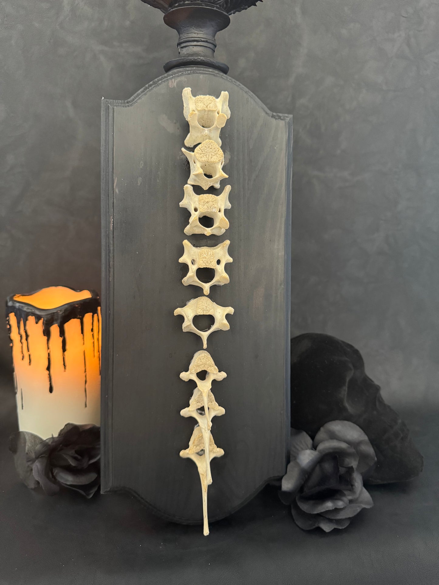 Bone Mount