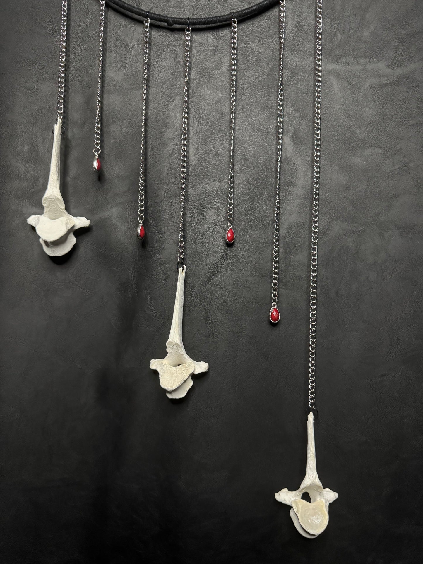 Vertebrae Dreamcatcher