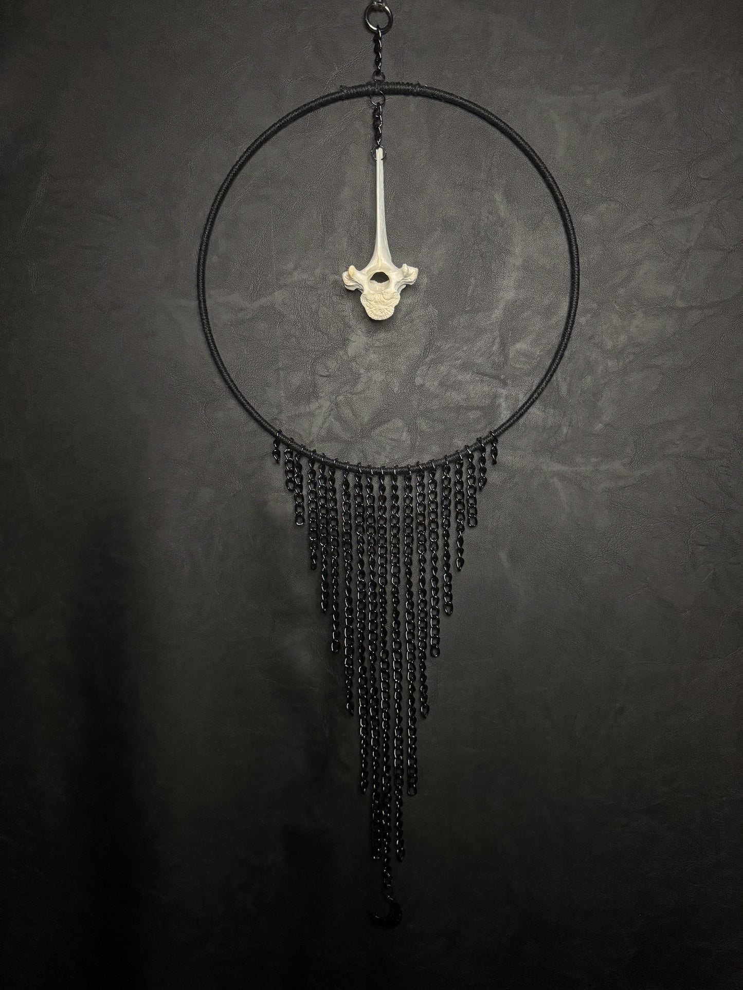 Vertebrae Dreamcatcher