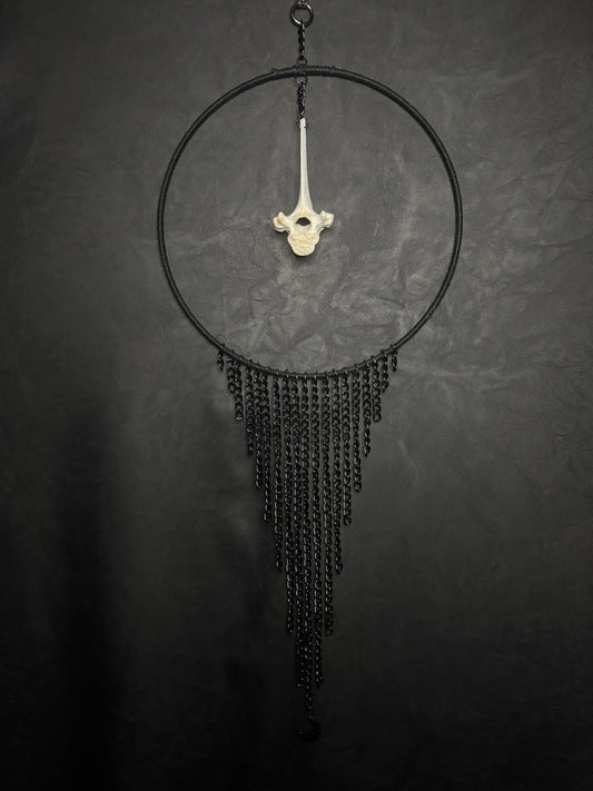 Vertebrae Dreamcatcher