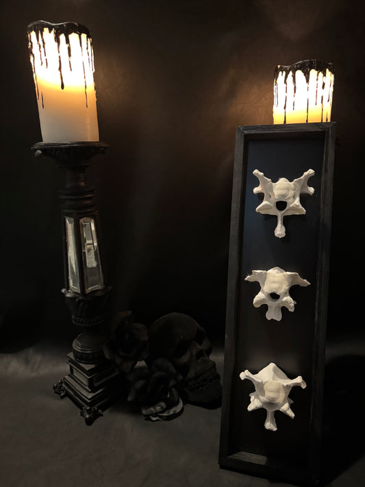 Large Vertebrae Mount